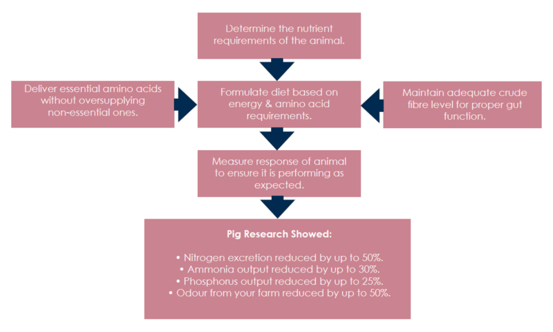 Informative diagram about pig premixes and research findings.